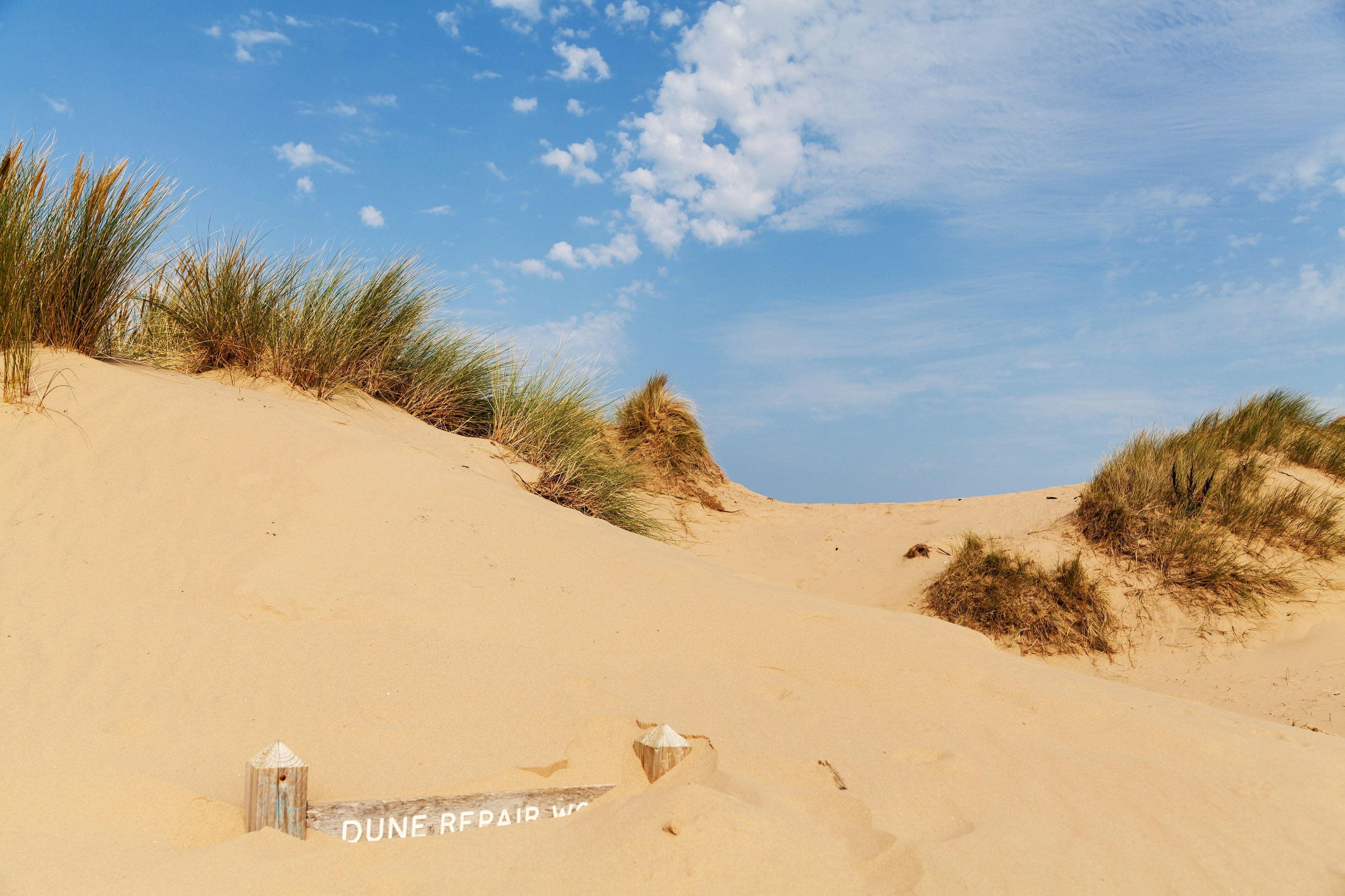 Formby Forest and Beach