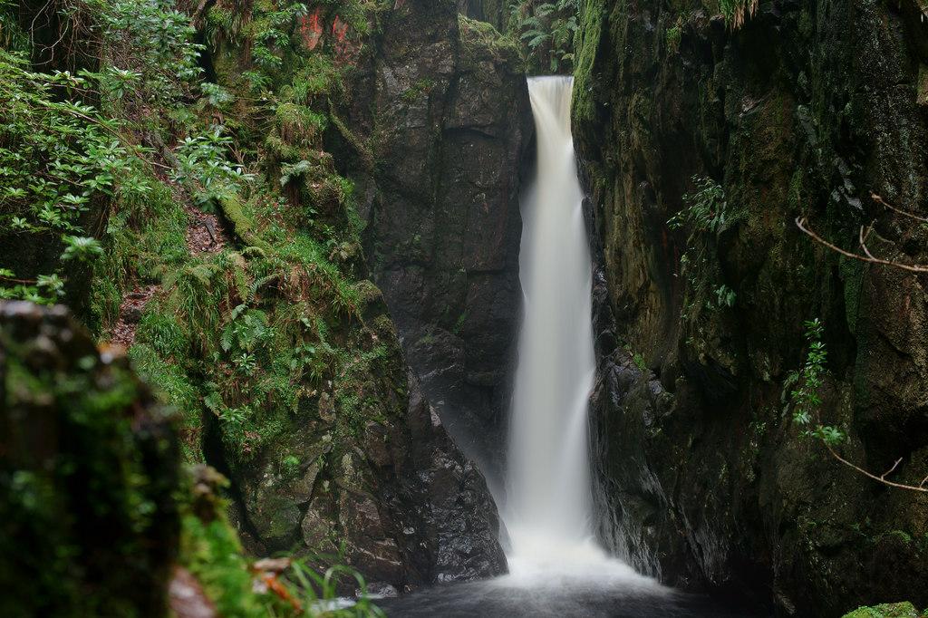 Stanley Ghyll Waterfall and Gill Force Walk