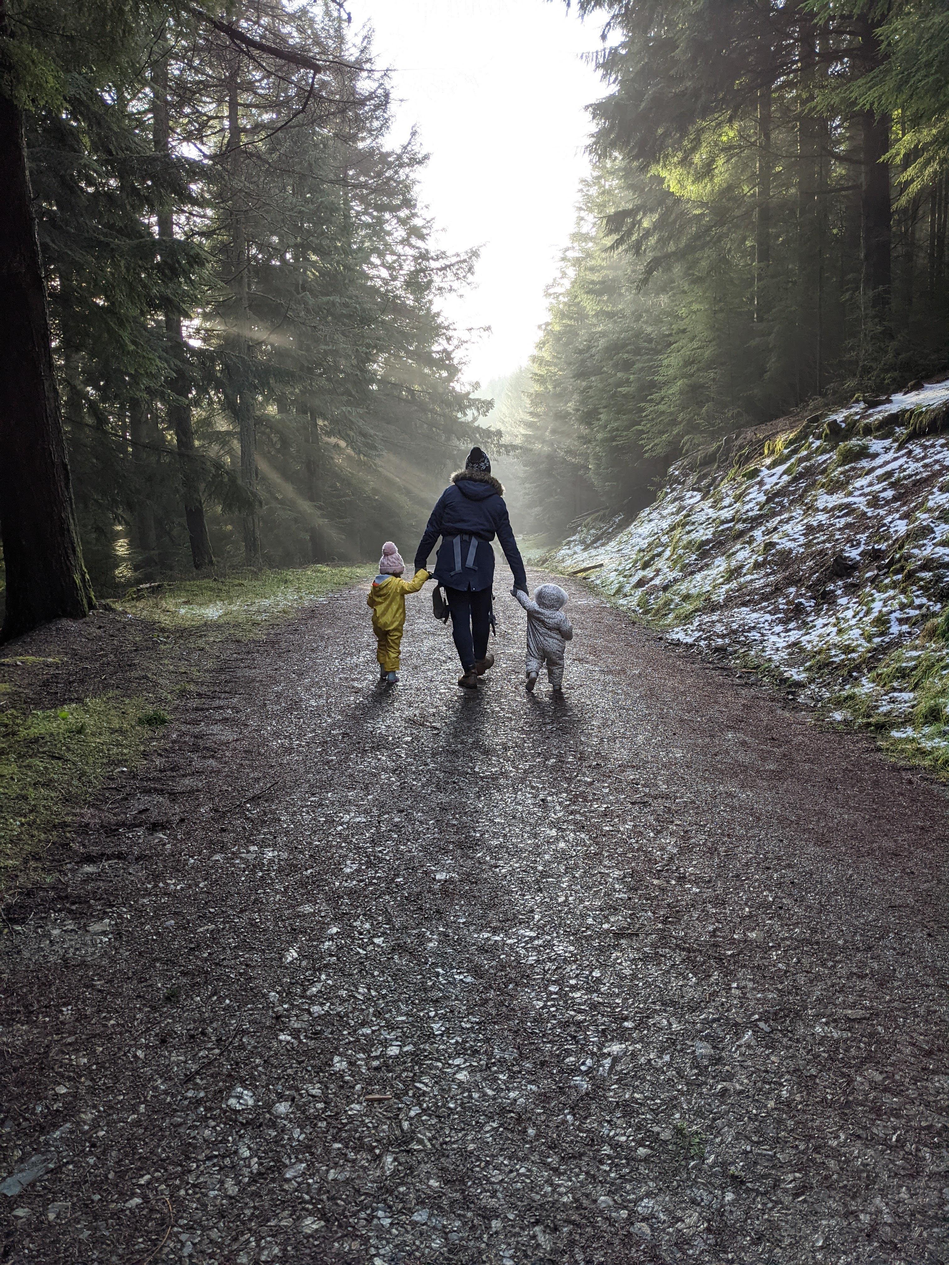 Gruffalo Trail at Whinlatter Forest